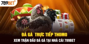 Trải nghiệm kịch tính với đá gà trực tiếp thomo ngay tại nhà cùng 789bet