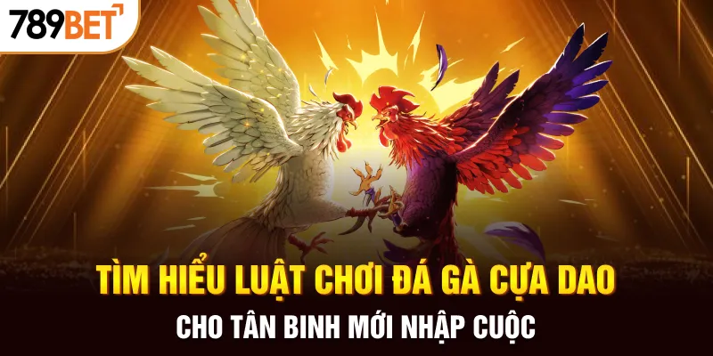 Tìm hiểu luật chơi đá gà cựa dao cho tân binh mới nhập cuộc